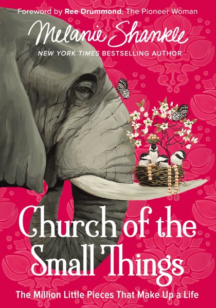Church of the Small Things: The Million Little Pieces That Make Up a Life cover