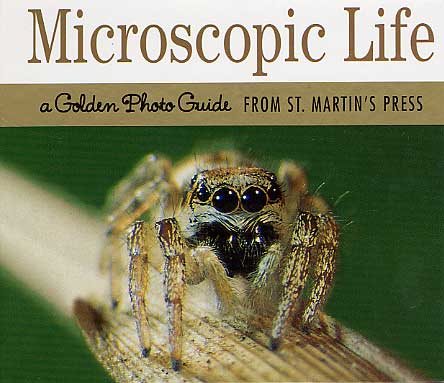 Microscopic Life: A Golden Photo Guide from St. Martin's Press cover