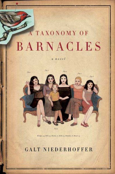 A Taxonomy of Barnacles: A Novel cover