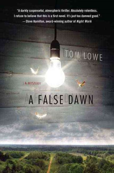A False Dawn cover