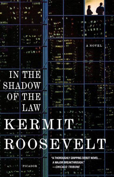 In the Shadow of the Law: A Novel