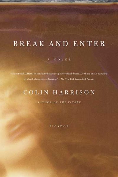 Break and Enter: A Novel cover