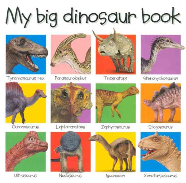 My Big Dinosaur Book cover