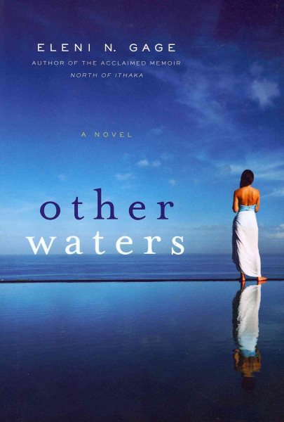 Other Waters: A Novel cover