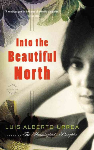 Into the Beautiful North: A Novel cover