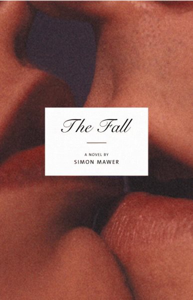 The Fall: A Novel cover