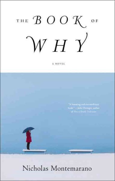 The Book of Why: A Novel