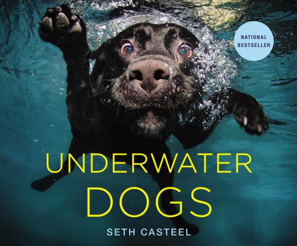 Underwater Dogs cover