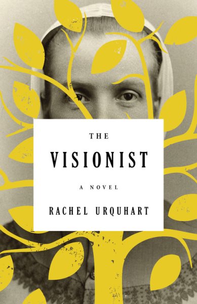 The Visionist: A Novel cover