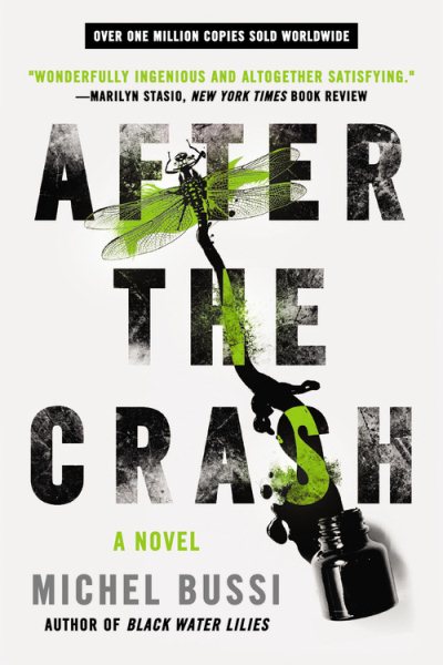 After the Crash: A Novel cover
