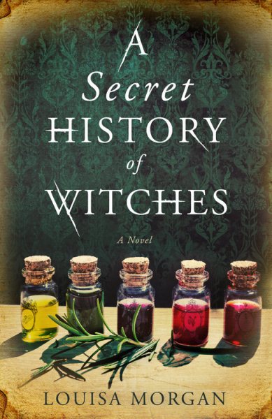A Secret History of Witches: A Novel cover