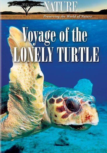 Nature: Voyage of the Lonely Turtle