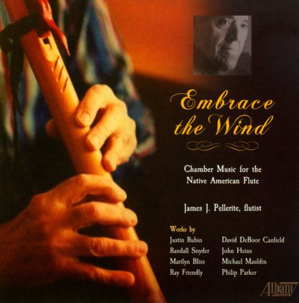 Embrace the Wind cover
