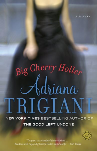 Big Cherry Holler: A Novel (Big Stone Gap) cover