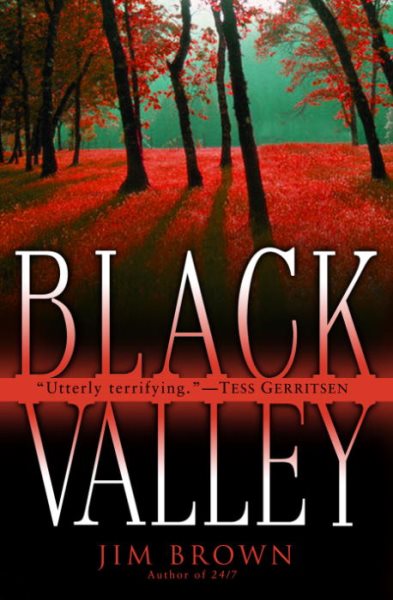 Black Valley cover