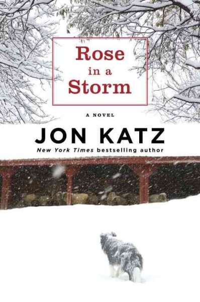 Rose in a Storm: A Novel cover