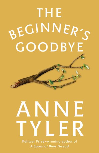 The Beginner's Goodbye: A Novel cover