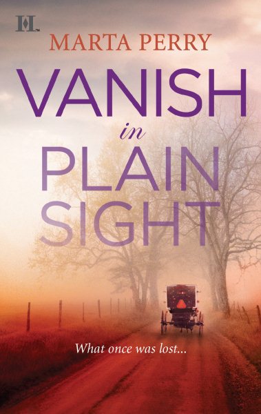Vanish in Plain Sight (Brotherhood of the Raven) cover