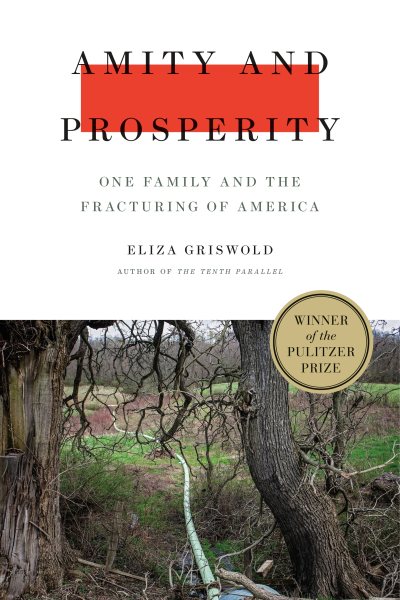 Amity and Prosperity: One Family and the Fracturing of America cover