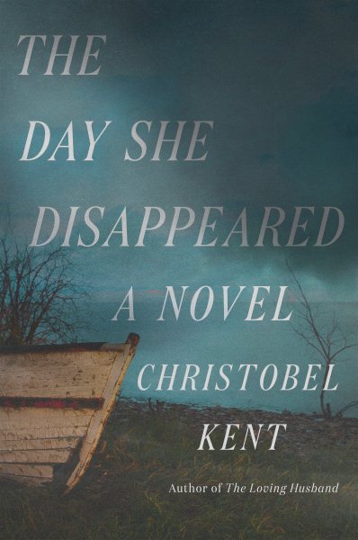 The Day She Disappeared: A Novel cover