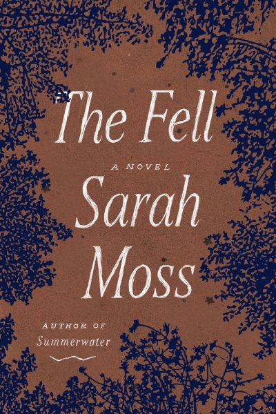 The Fell: A Novel cover