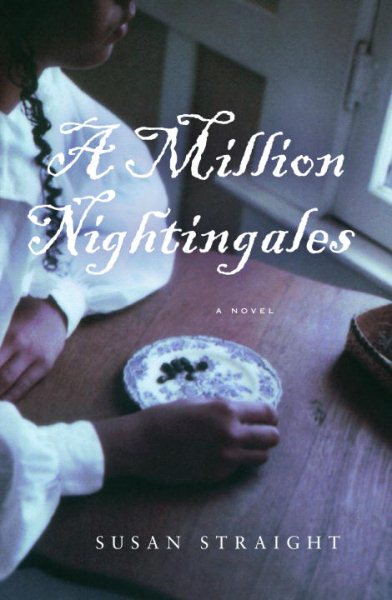 A Million Nightingales: A Novel cover