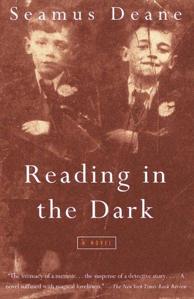 Reading in the Dark: A Novel cover