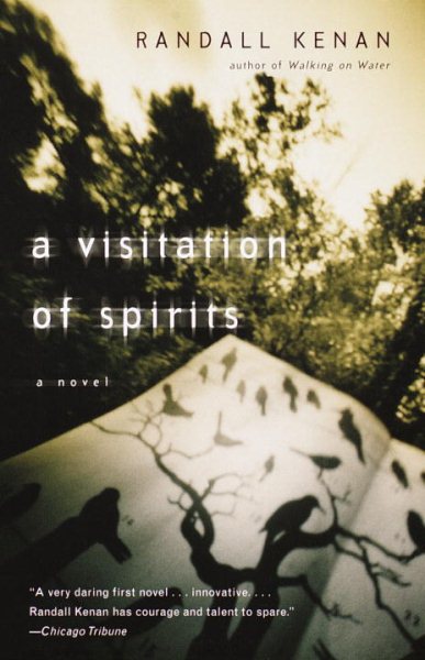 A Visitation of Spirits: A Novel cover