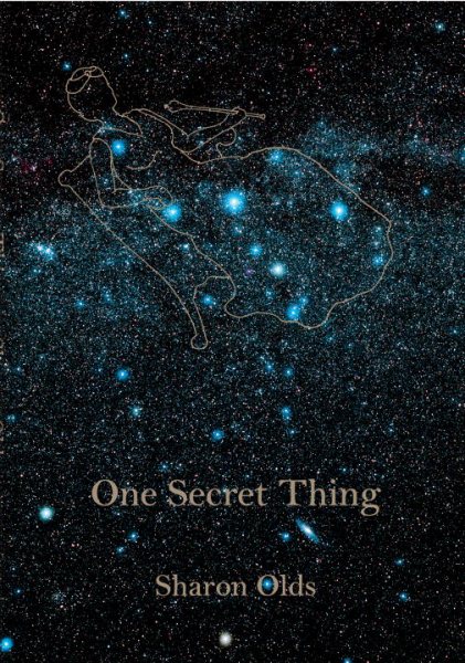 One Secret Thing cover