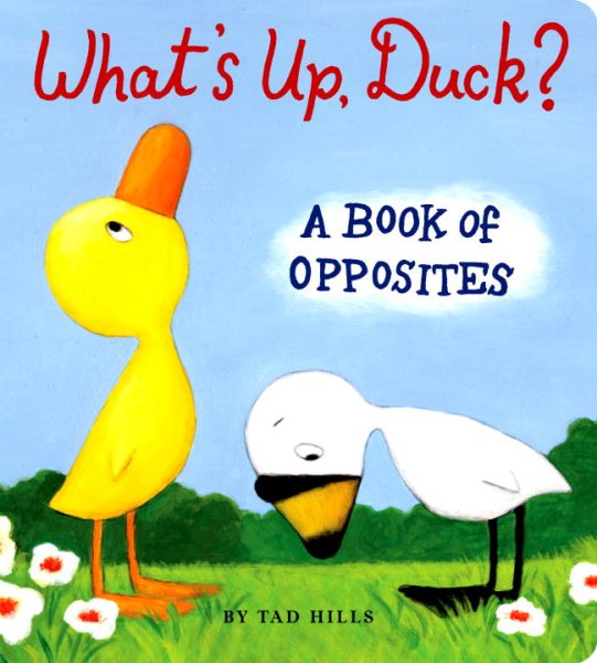 What's Up, Duck?: A Book of Opposites (Duck & Goose) cover