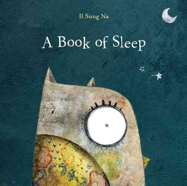 A Book of Sleep cover