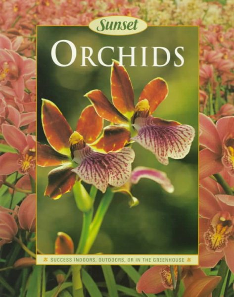 Orchids (Sunset) cover