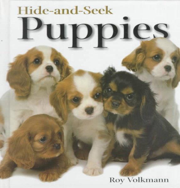 Hide-and-Seek Puppies (Hide-And-Seek Book) cover