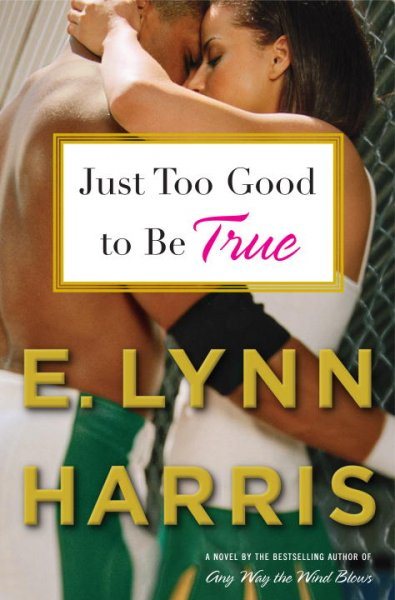 Just Too Good to Be True: A Novel cover