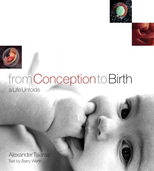 From Conception to Birth: A Life Unfolds cover