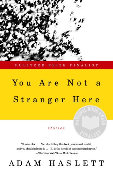 You Are Not a Stranger Here: Stories cover