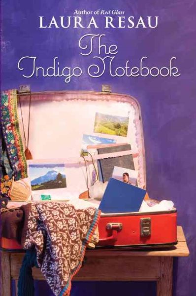 The Indigo Notebook cover