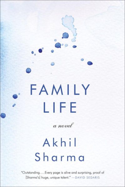 Family Life: A Novel