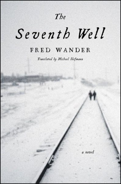 The Seventh Well: A Novel cover
