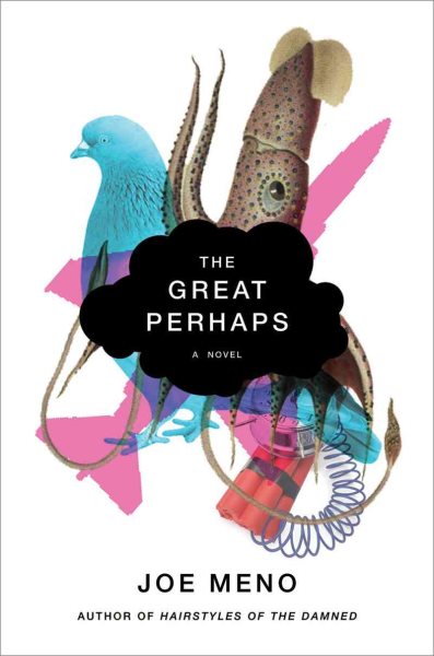 The Great Perhaps: A Novel cover