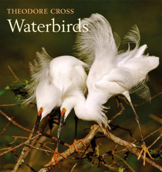 Waterbirds cover