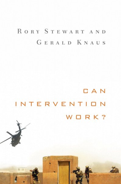 Can Intervention Work? (Norton Global Ethics Series)