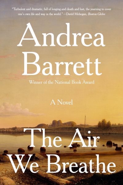The Air We Breathe: A Novel cover