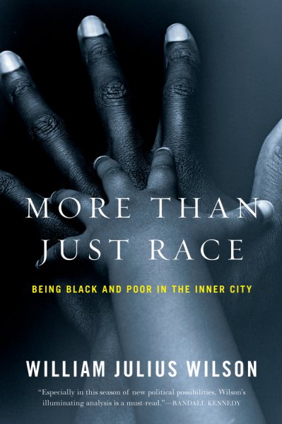 More than Just Race: Being Black and Poor in the Inner City (Issues of Our Time) cover