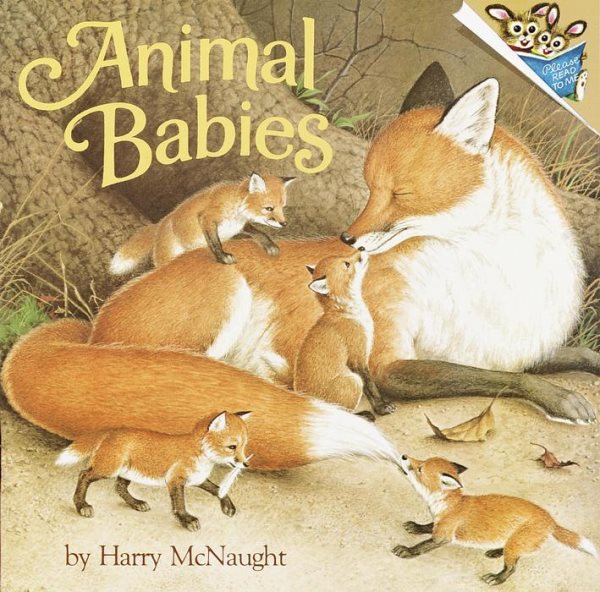Animal Babies (Pictureback(R)) cover
