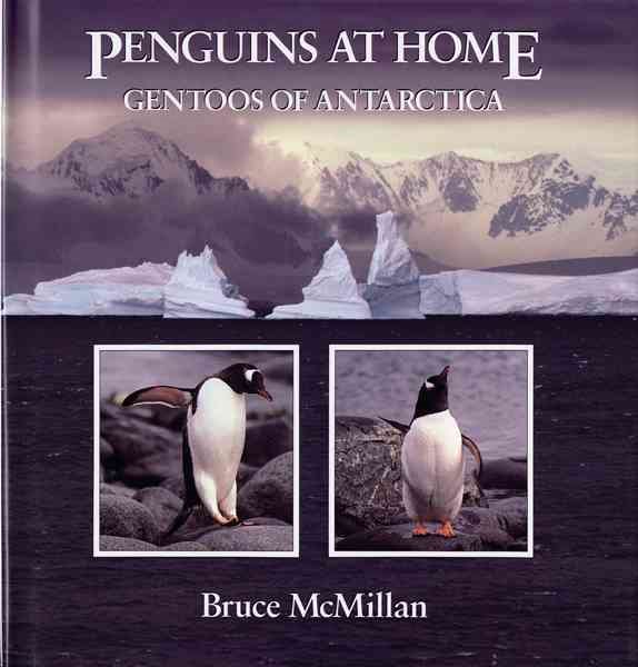 Penguins at Home: Gentoos of Antarctica