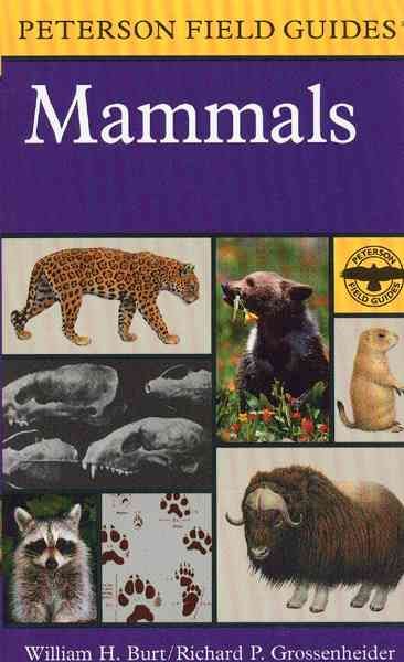 A Field Guide to Mammals: North America north of Mexico (Peterson Field Guides)