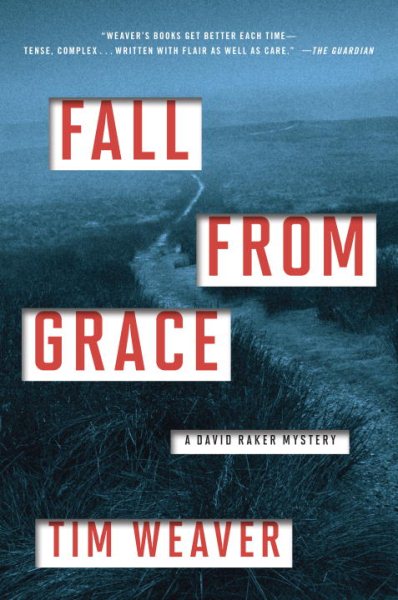 Fall from Grace (A David Raker Mystery)