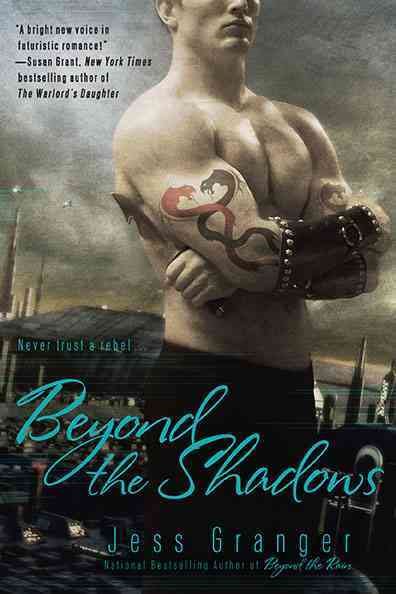 Beyond the Shadows (A Realms Beyond Novel) cover