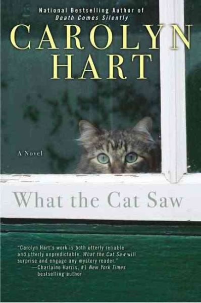 What the Cat Saw cover